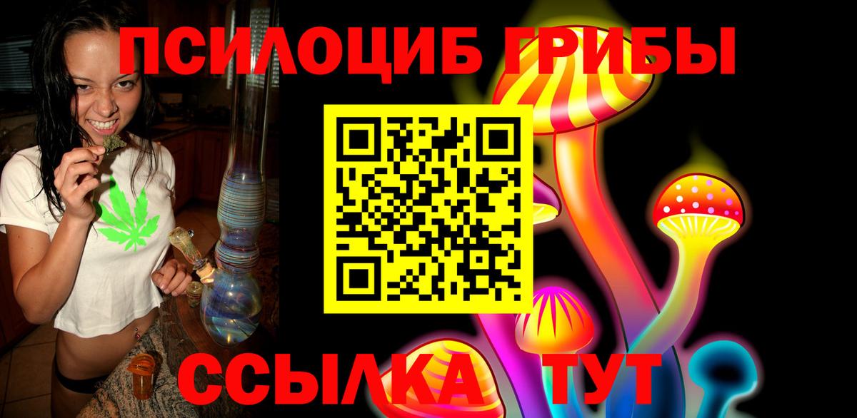 Псилоцибиновые грибы Cubensis Тавда